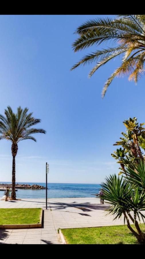 Apartaments Amalia On The Beach ตอร์เรเวียคา ภายนอก รูปภาพ