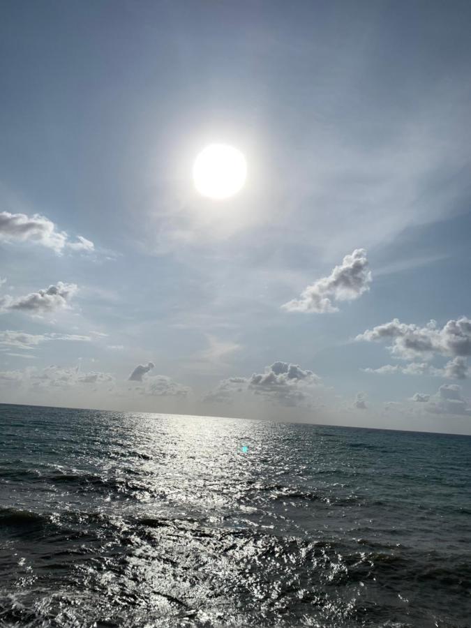 Apartaments Amalia On The Beach ตอร์เรเวียคา ภายนอก รูปภาพ
